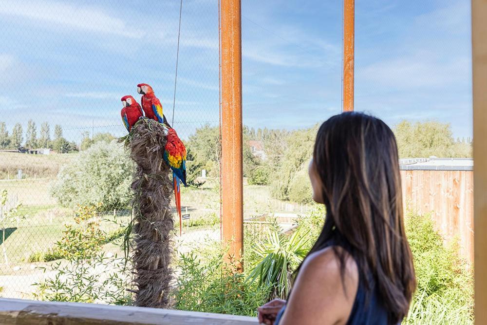 Parrot World - Les Lodges كْروسي لا شابيل المظهر الخارجي الصورة