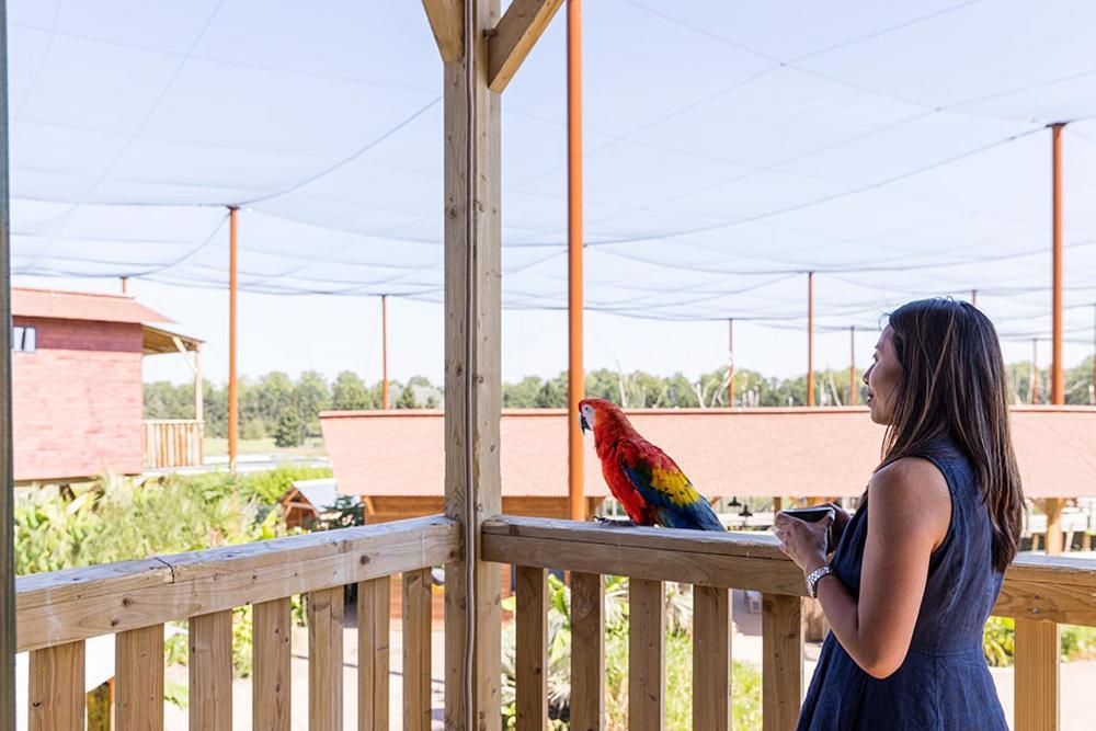 Parrot World - Les Lodges كْروسي لا شابيل المظهر الخارجي الصورة